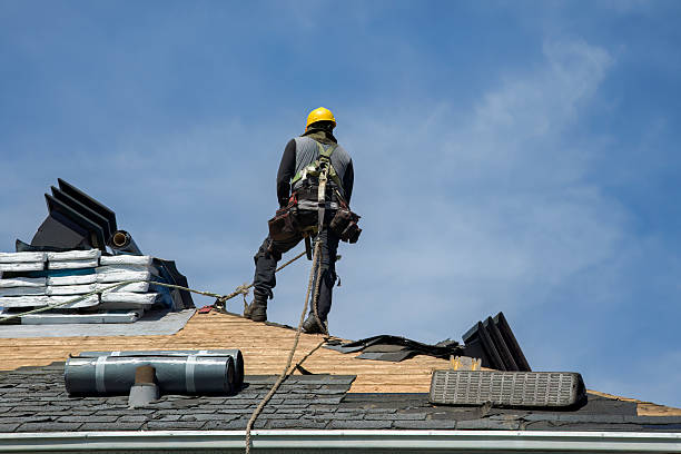 Professional Flat Roof Repair technician working in Waterloo, IL